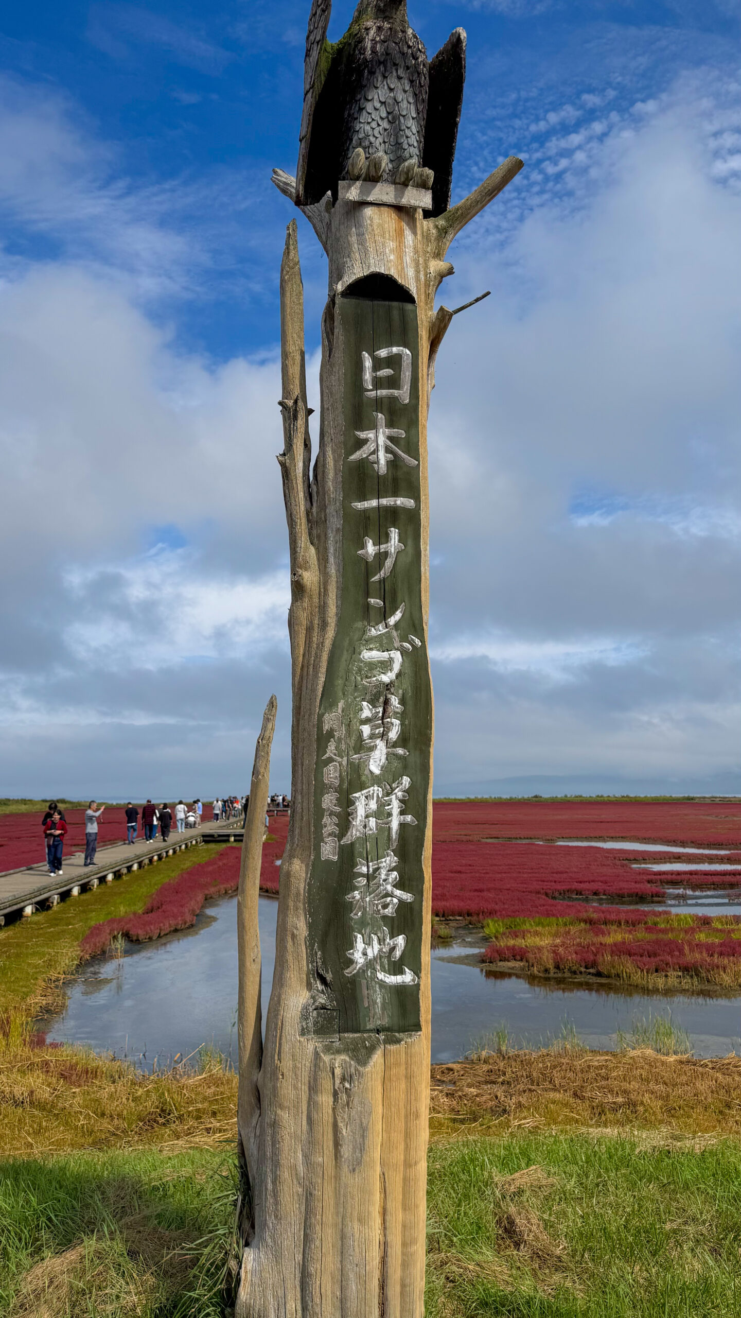 能取湖サンゴ草群落地の案内看板